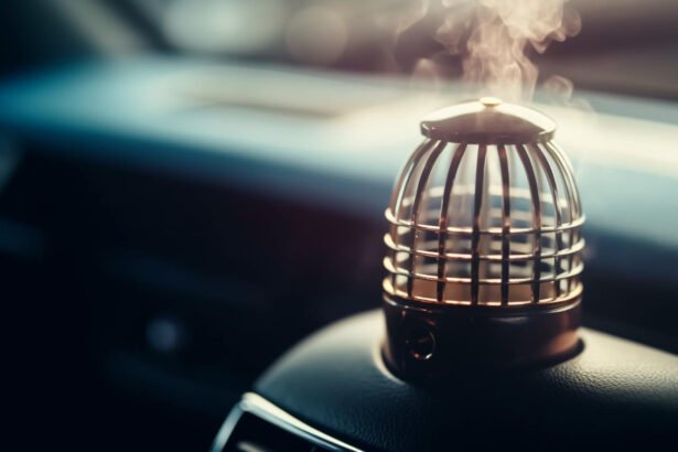 Best Car Air Fresheners