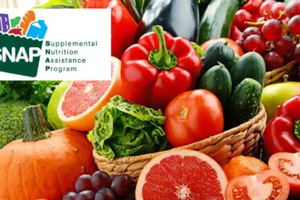 SNAP Food Stamps in 2025: Eligibility Criteria and Pennsylvania Changes